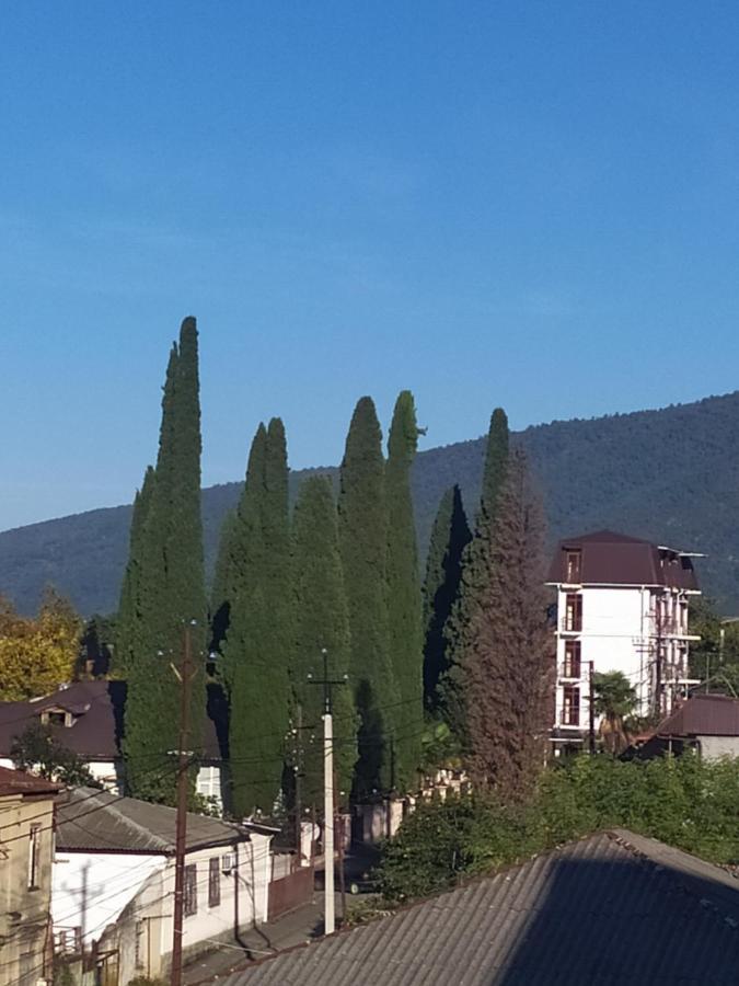 Anna-Saria Guest House Gagra Exterior foto